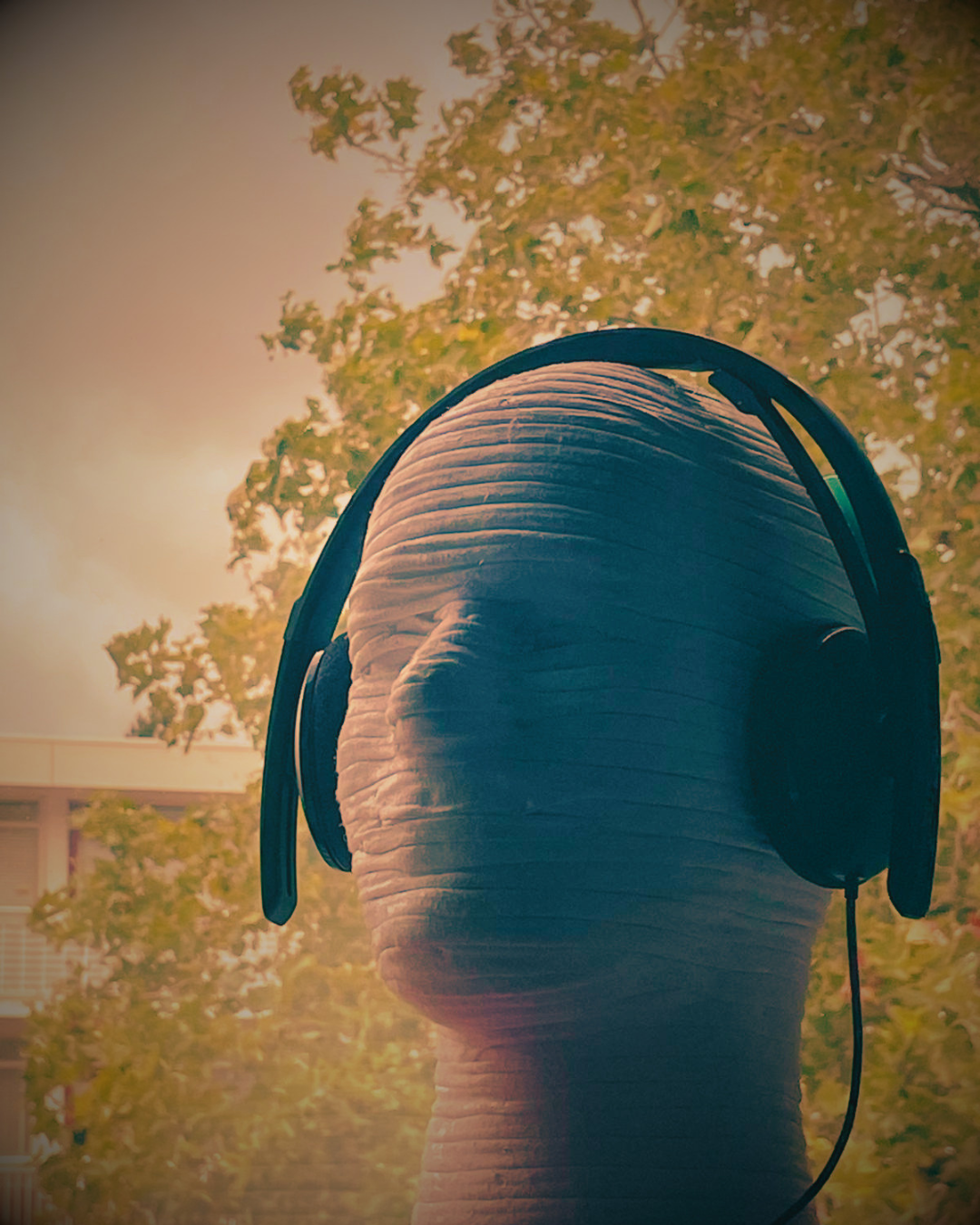 Muzikale reis naar jezelf